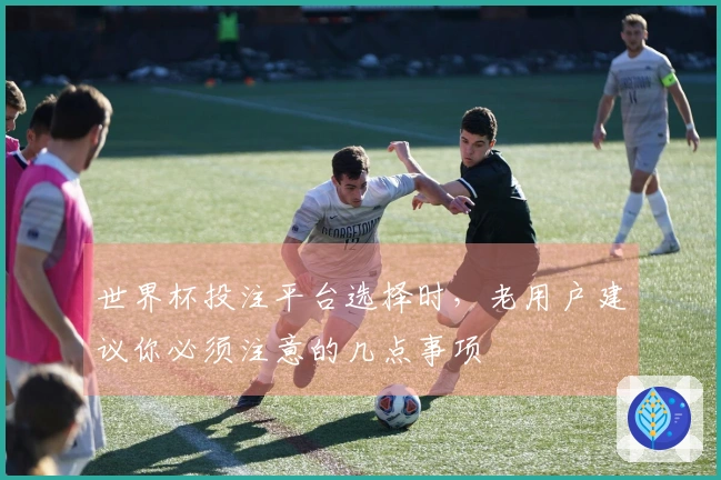 世界杯投注平台选择时，老用户建议你必须注意的几点事项
