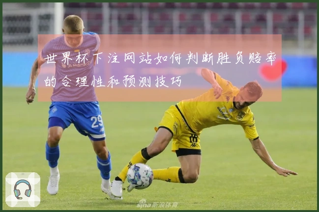 世界杯下注网站如何判断胜负赔率的合理性和预测技巧