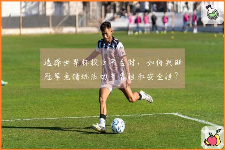 选择世界杯投注平台时，如何判断冠军竞猜玩法的可靠性和安全性？