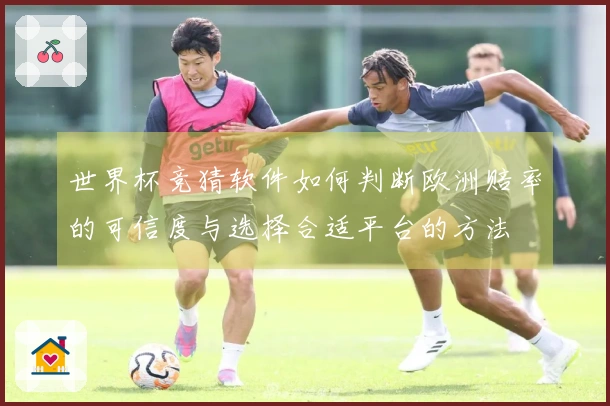 世界杯竞猜软件如何判断欧洲赔率的可信度与选择合适平台的方法