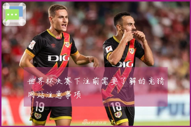 世界杯决赛下注前需要了解的竞猜网站注意事项