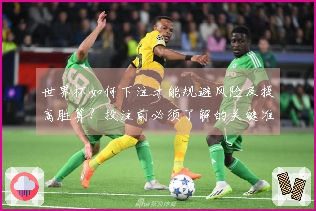 世界杯如何下注才能规避风险及提高胜算？投注前必须了解的关键准备事项