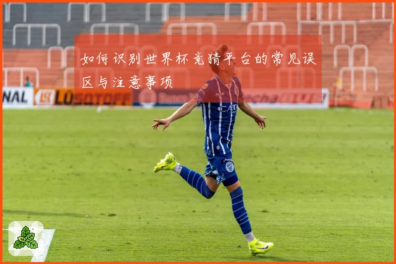 如何识别世界杯竞猜平台的常见误区与注意事项