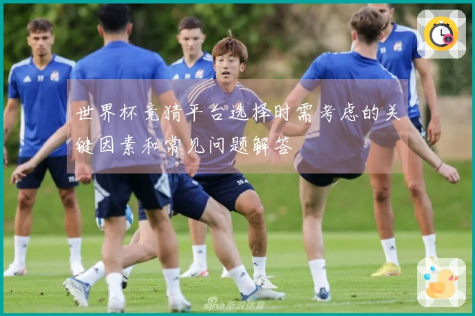 世界杯竞猜平台选择时需考虑的关键因素和常见问题解答