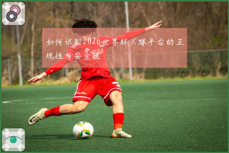 如何识别2026世界杯买球平台的正规性与安全性
