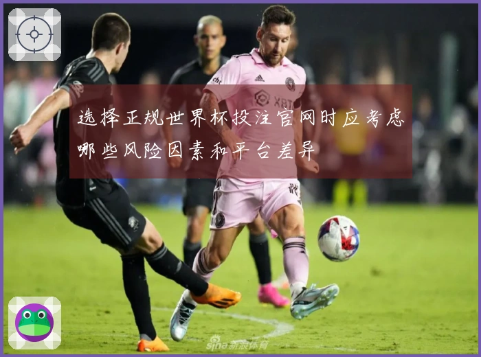 选择正规世界杯投注官网时应考虑哪些风险因素和平台差异