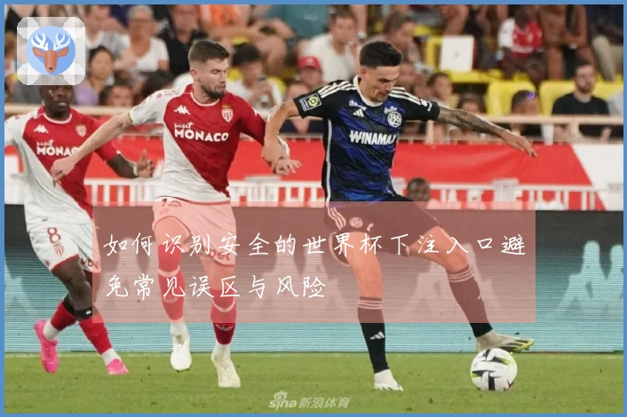 如何识别安全的世界杯下注入口避免常见误区与风险