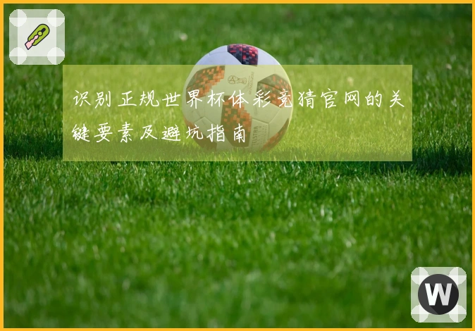 识别正规世界杯体彩竞猜官网的关键要素及避坑指南