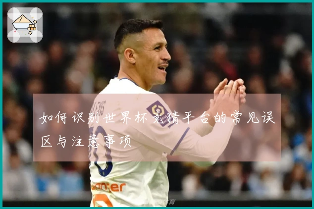 如何识别世界杯竞猜平台的常见误区与注意事项