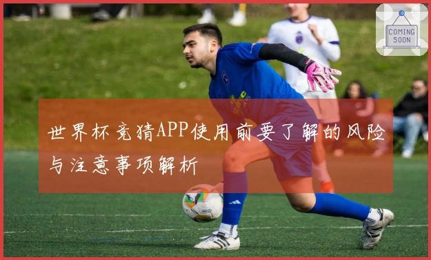 世界杯竞猜APP使用前要了解的风险与注意事项解析