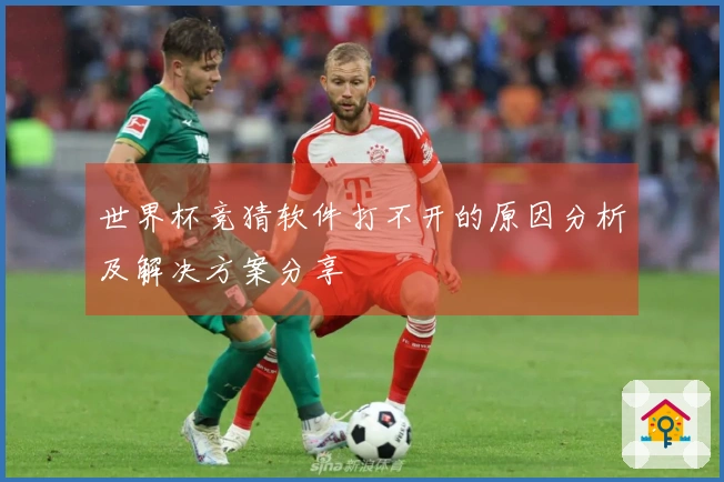 世界杯竞猜软件打不开的原因分析及解决方案分享