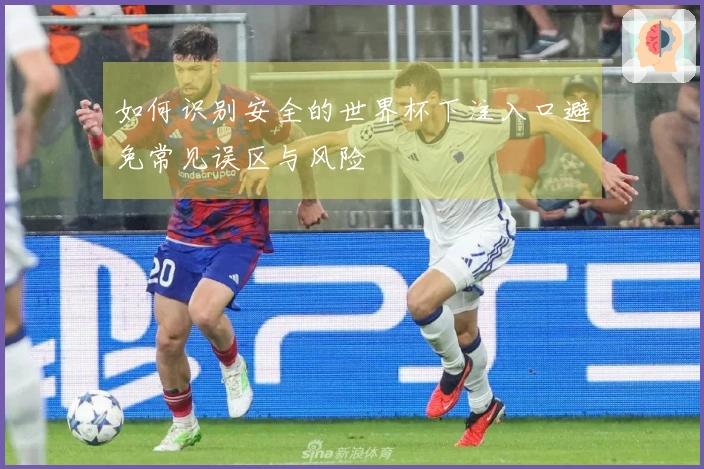 如何识别安全的世界杯下注入口避免常见误区与风险