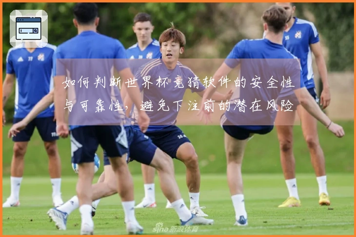 如何判断世界杯竞猜软件的安全性与可靠性，避免下注前的潜在风险