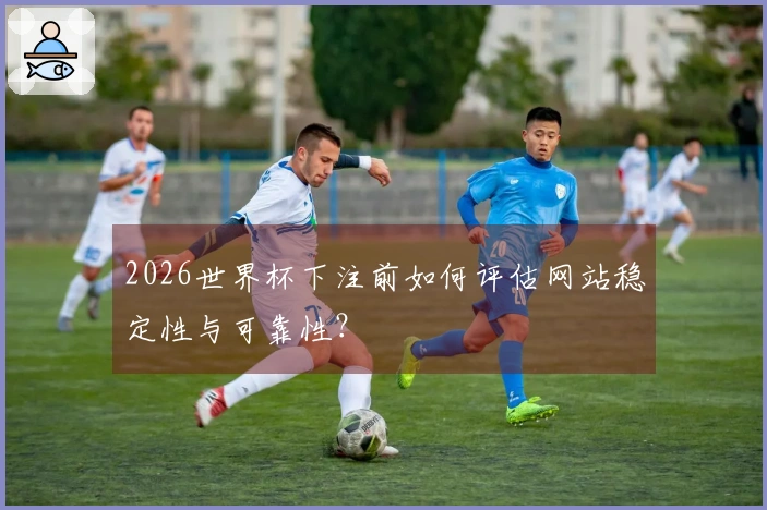 2026世界杯下注前如何评估网站稳定性与可靠性？
