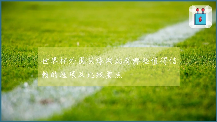 世界杯外围买球网站有哪些值得信赖的选项及比较要点