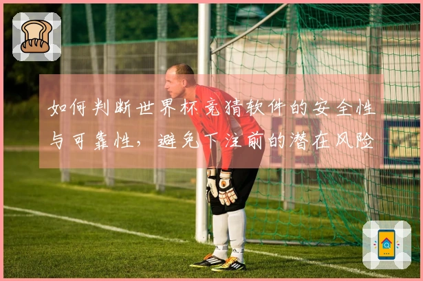 如何判断世界杯竞猜软件的安全性与可靠性，避免下注前的潜在风险