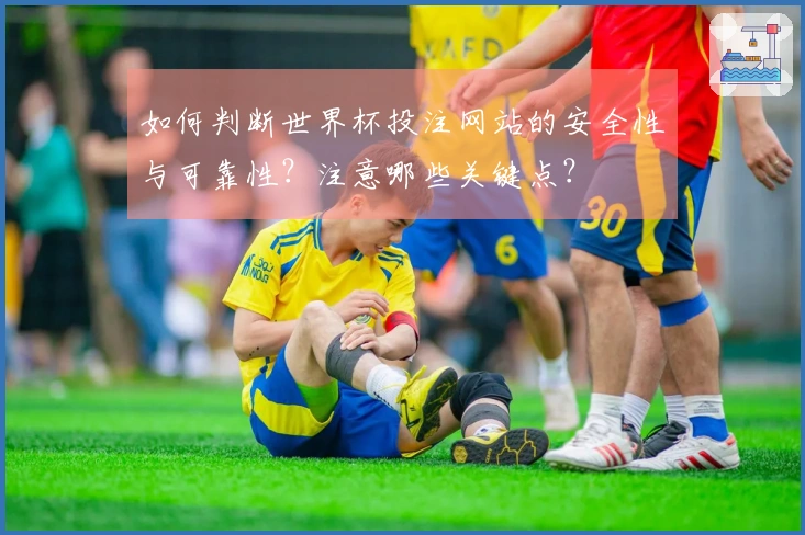如何判断世界杯投注网站的安全性与可靠性？注意哪些关键点？