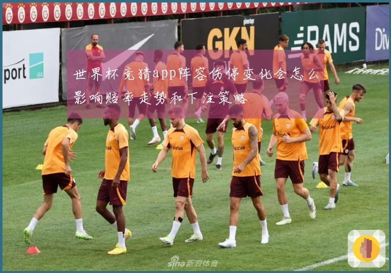 世界杯竞猜app阵容伤停变化会怎么影响赔率走势和下注策略