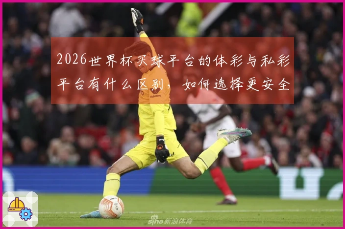 2026世界杯买球平台的体彩与私彩平台有什么区别，如何选择更安全的下注方式？